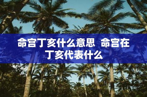 命宫丁亥什么意思 命宫在丁亥代表什么