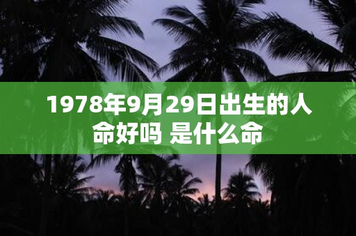 1978年9月29日出生的人命好吗 是什么命