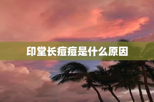 印堂长痘痘是什么原因