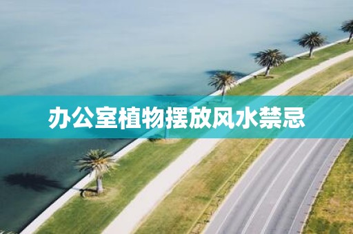 办公室植物摆放风水禁忌