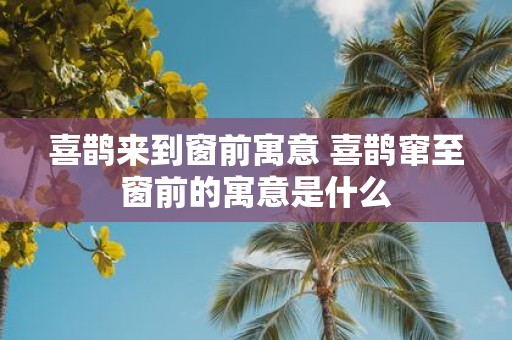 喜鹊来到窗前寓意 喜鹊窜至窗前的寓意是什么