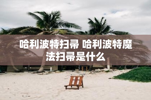 哈利波特扫帚 哈利波特魔法扫帚是什么