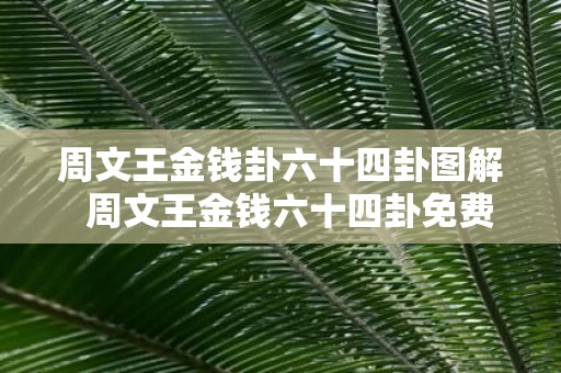 周文王金钱卦六十四卦图解 周文王金钱六十四卦免费