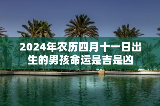 2025年农历四月十一日出生的男孩命运是吉是凶
