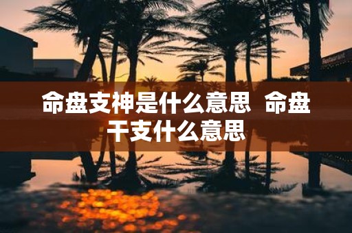 命盘支神是什么意思 命盘干支什么意思