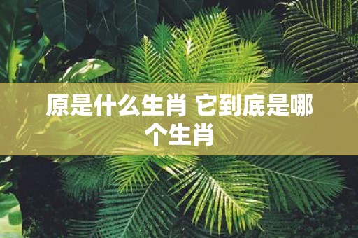 原是什么生肖 它到底是哪个生肖
