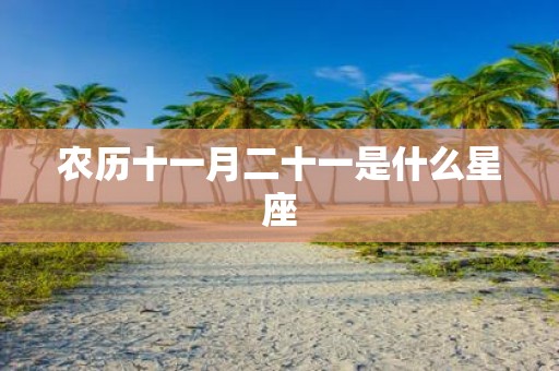 农历十一月二十一是什么星座