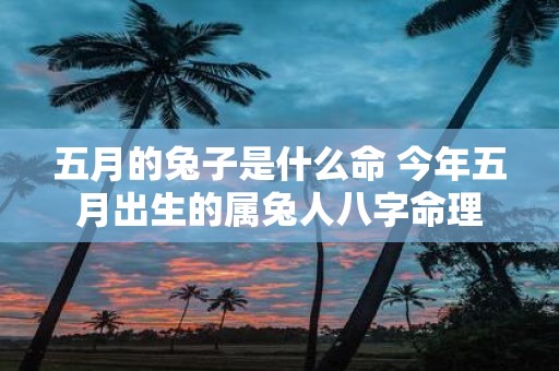五月的兔子是什么命 今年五月出生的属兔人八字命理