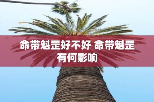 命带魁罡好不好 命带魁罡有何影响