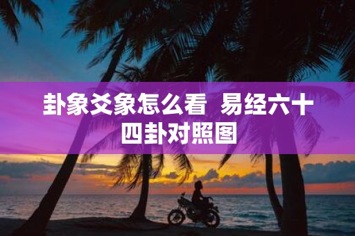 卦象爻象怎么看 易经六十四卦对照图