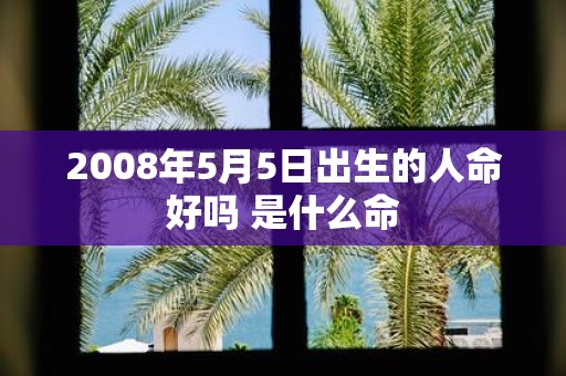 2008年5月5日出生的人命好吗 是什么命