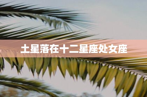 土星落在十二星座处女座