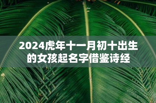 2025虎年十一月初十出生的女孩起名字借鉴诗经