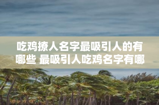吃鸡撩人名字最吸引人的有哪些 最吸引人吃鸡名字有哪些