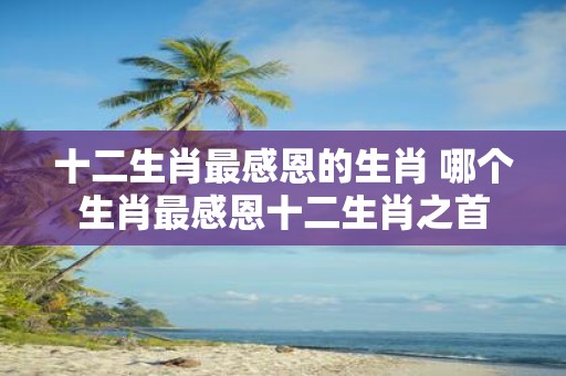 十二生肖最感恩的生肖 哪个生肖最感恩十二生肖之首