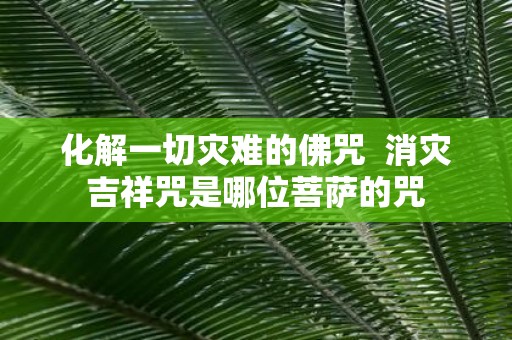 化解一切灾难的佛咒 消灾吉祥咒是哪位菩萨的咒