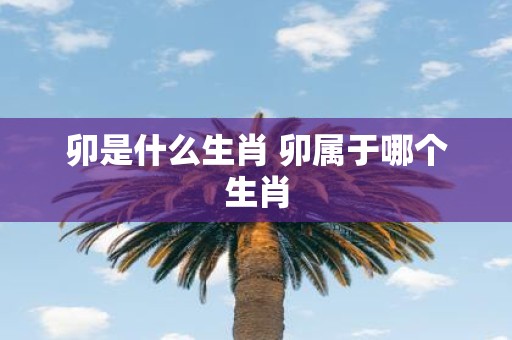 卯是什么生肖 卯属于哪个生肖