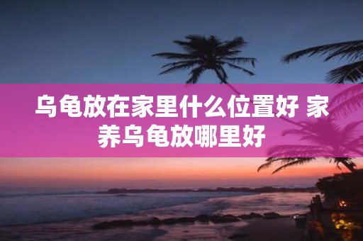 乌龟放在家里什么位置好 家养乌龟放哪里好