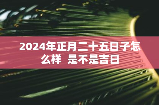 2025年正月二十五日子怎么样 是不是吉日