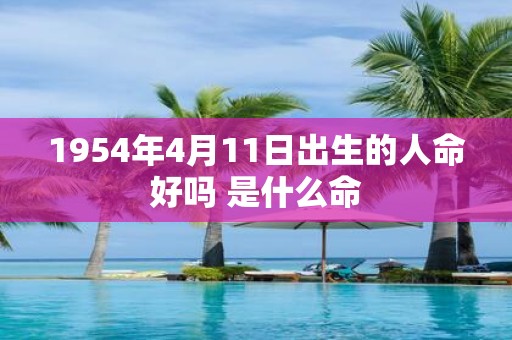 1954年4月11日出生的人命好吗 是什么命