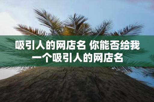 吸引人的网店名 你能否给我一个吸引人的网店名