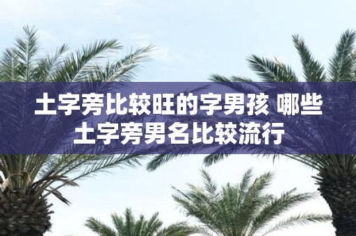 土字旁比较旺的字男孩 哪些土字旁男名比较流行
