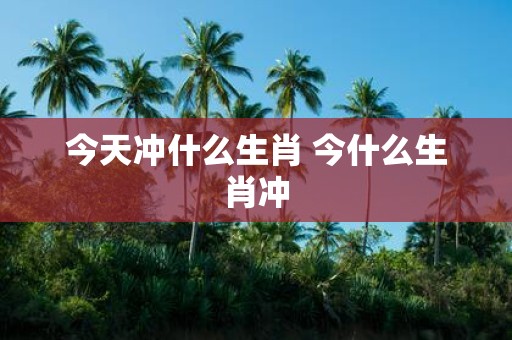 今天冲什么生肖 今什么生肖冲