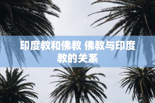 印度教和佛教 佛教与印度教的关系