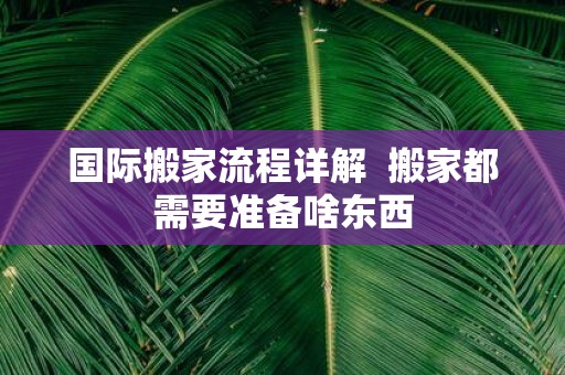 国际搬家流程详解 搬家都需要准备啥东西