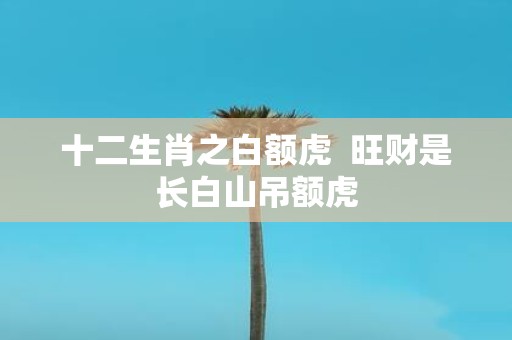 十二生肖之白额虎 旺财是长白山吊额虎