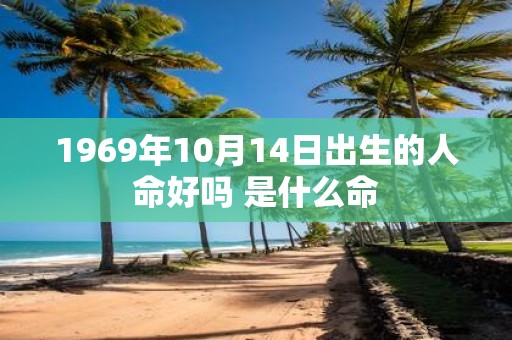 1969年10月14日出生的人命好吗 是什么命