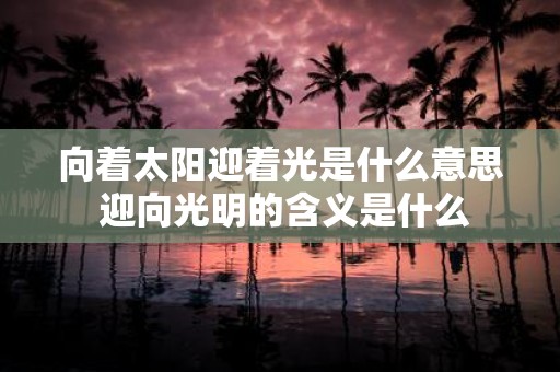 向着太阳迎着光是什么意思 迎向光明的含义是什么