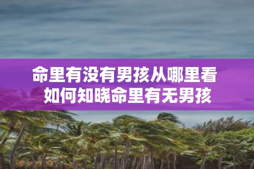 命里有没有男孩从哪里看 如何知晓命里有无男孩