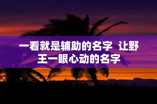 一看就是辅助的名字 让野王一眼心动的名字