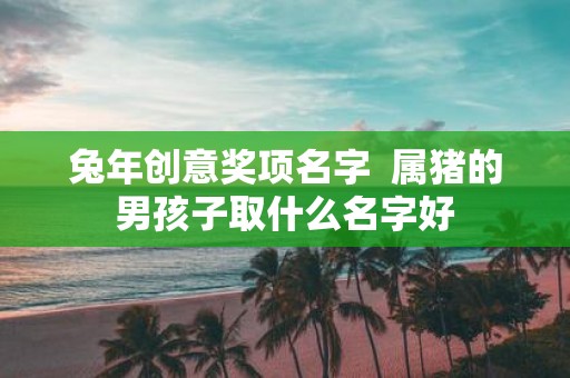 蛇年创意奖项名字 属猪的男孩子取什么名字好