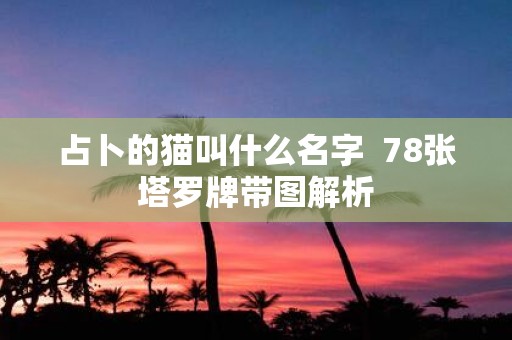 占卜的猫叫什么名字 78张塔罗牌带图解析