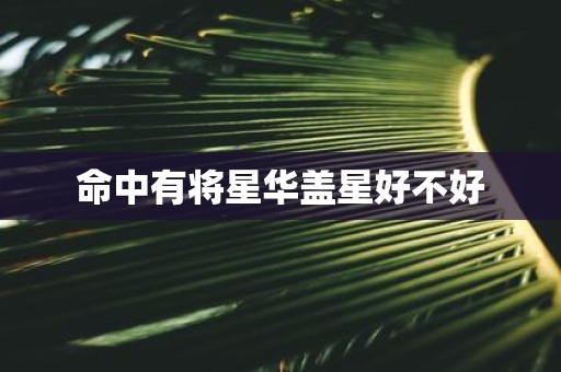 命中有将星华盖星好不好