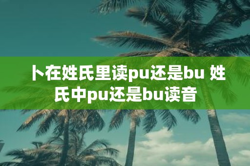 卜在姓氏里读pu还是bu 姓氏中pu还是bu读音