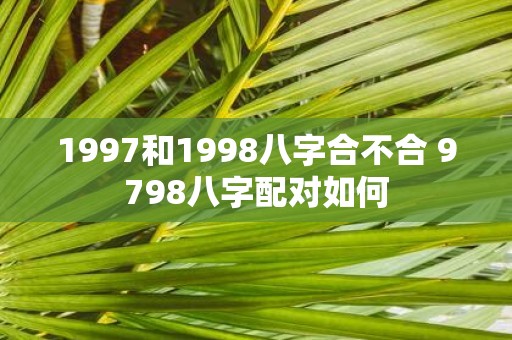 1997和1998八字合不合 9798八字配对如何