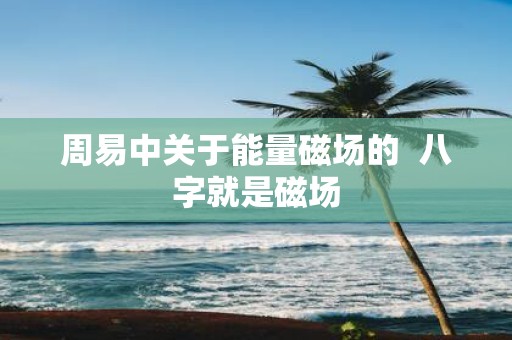 周易中关于能量磁场的 八字就是磁场
