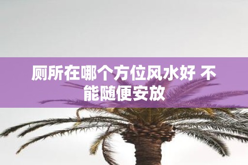厕所在哪个方位风水好 不能随便安放