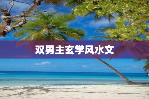 双男主玄学风水文