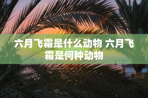 六月飞霜是什么动物 六月飞霜是何种动物