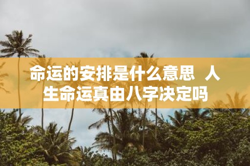 命运的安排是什么意思  人生命运真由八字决定吗