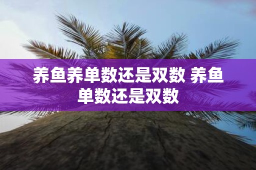 养鱼养单数还是双数 养鱼单数还是双数