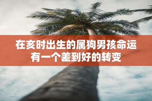 在亥时出生的属狗男孩命运有一个差到好的转变