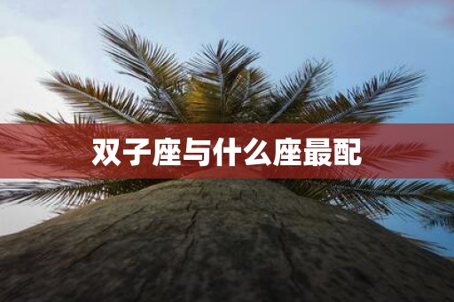 双子座与什么座最配