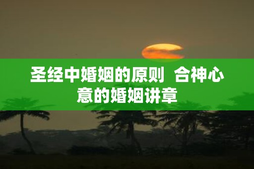 圣经中婚姻的原则 合神心意的婚姻讲章