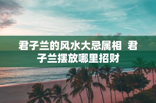 君子兰的风水大忌属相 君子兰摆放哪里招财