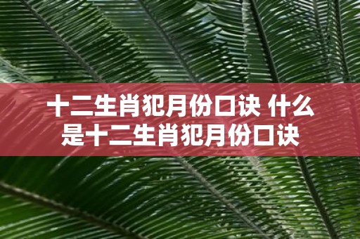 十二生肖犯月份口诀 什么是十二生肖犯月份口诀